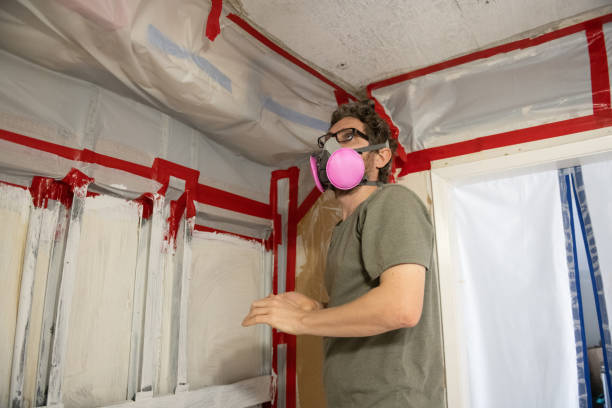 Professional Mold Removal in Encinitas, CA