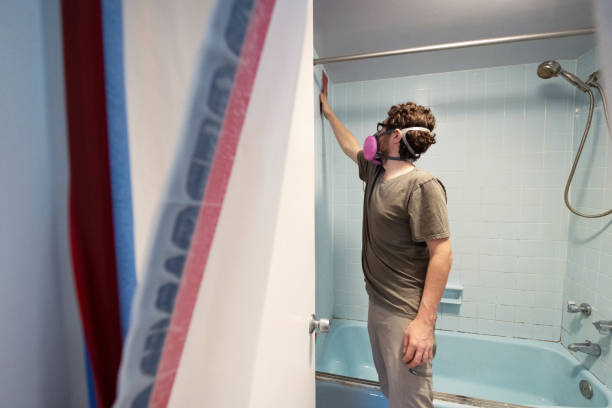 Mold Removal for HVAC Installations in Encinitas, CA